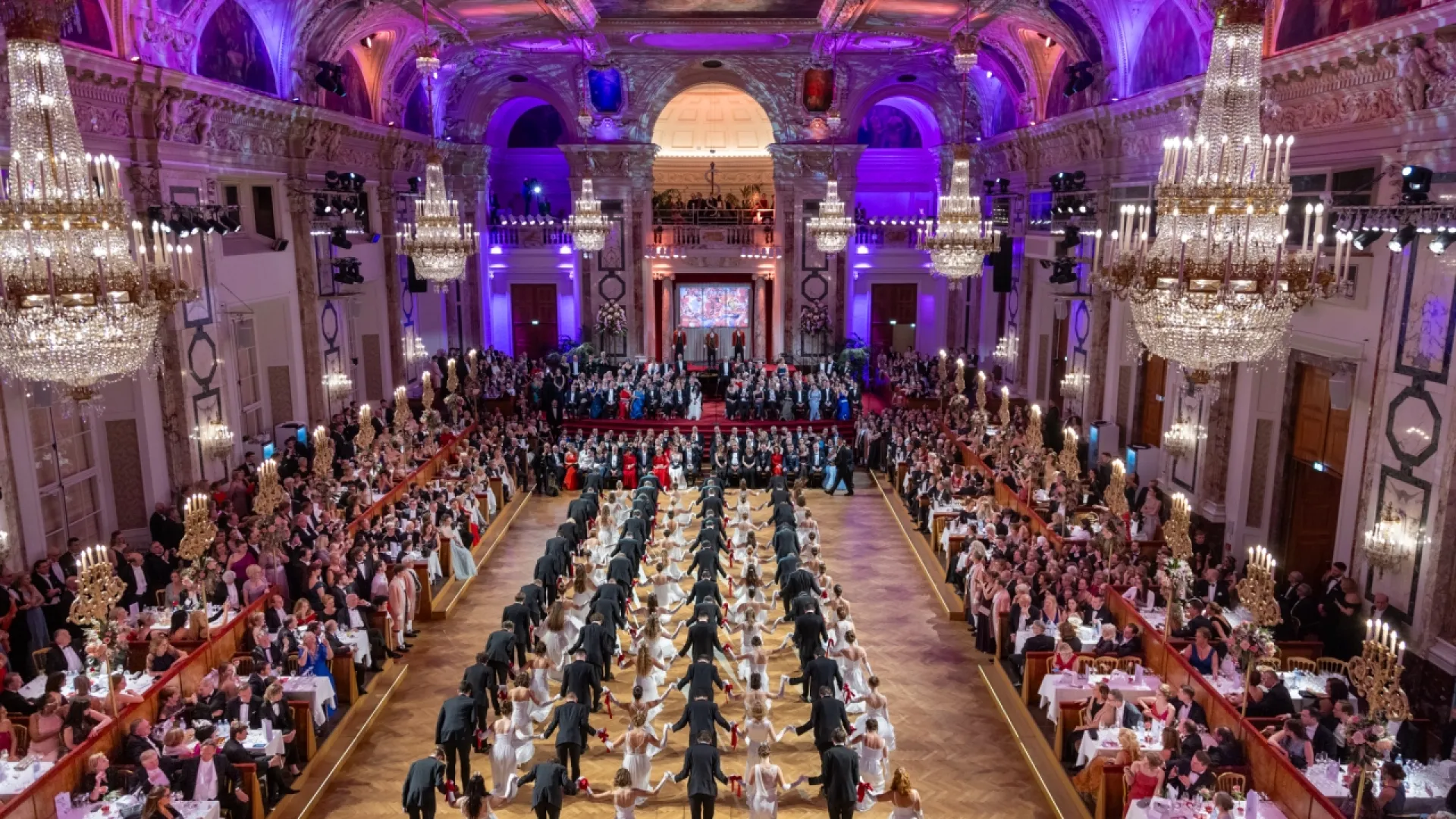Ballo dei Medici di Vienna 2