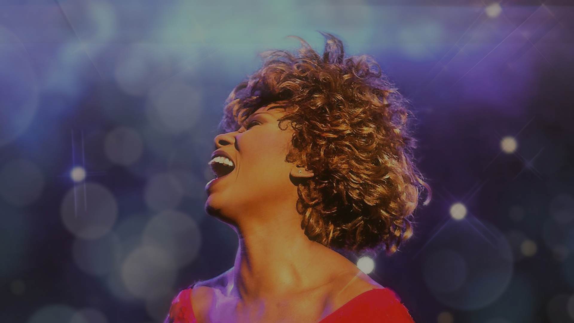 Simply The Best - La Storia di Tina Turner