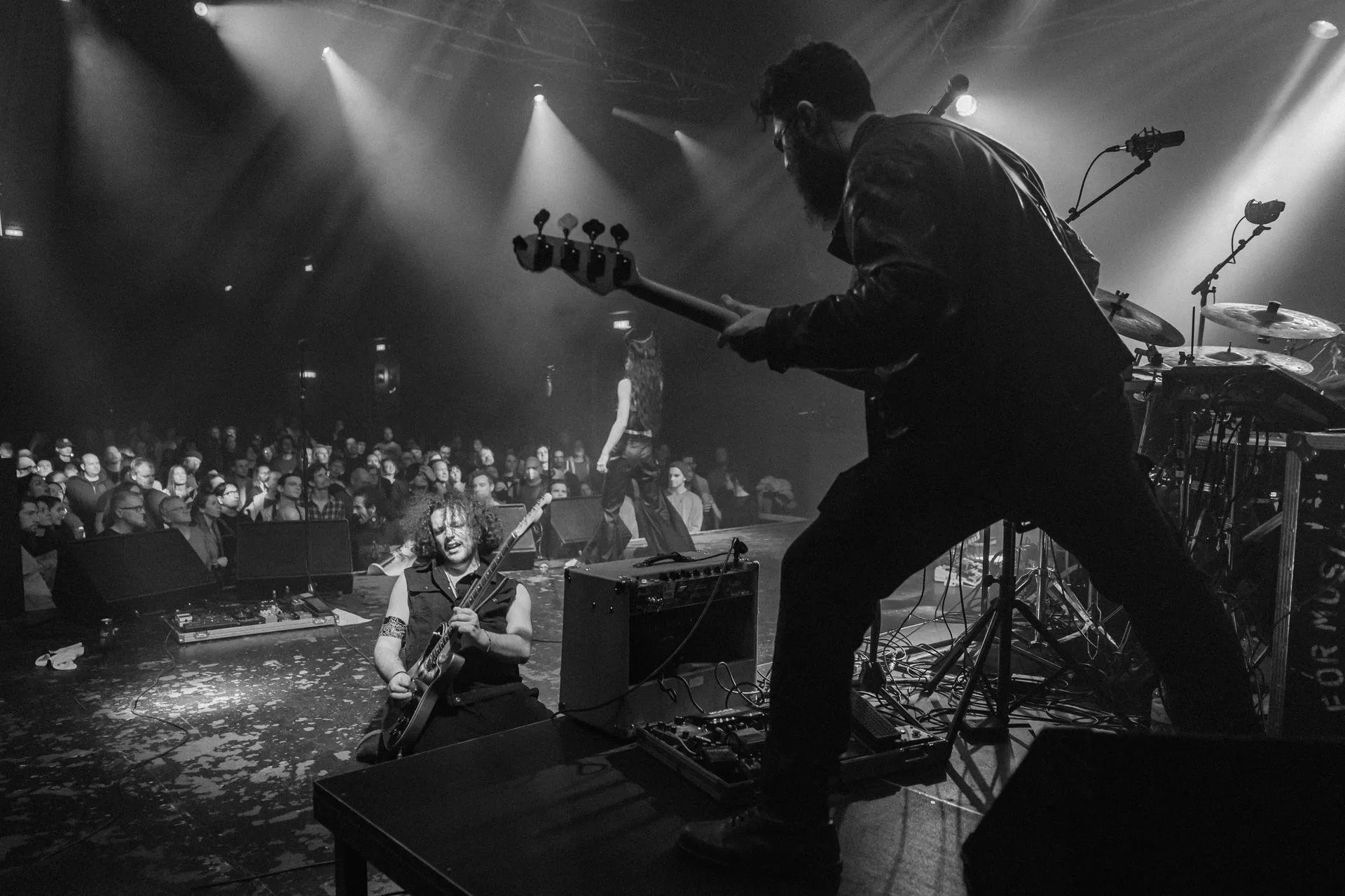 Spitting Ibex, Show de Lanzamiento de Álbum