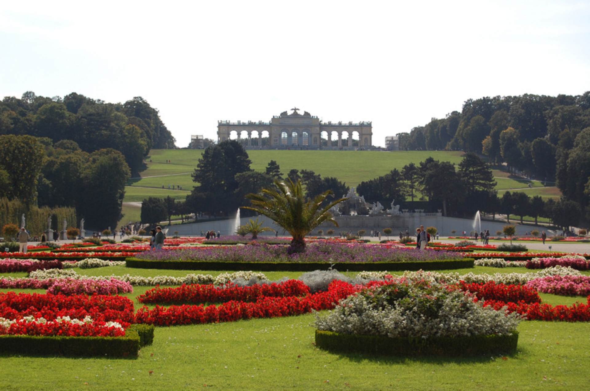 Visita del palacio Schönbrunn y concierto