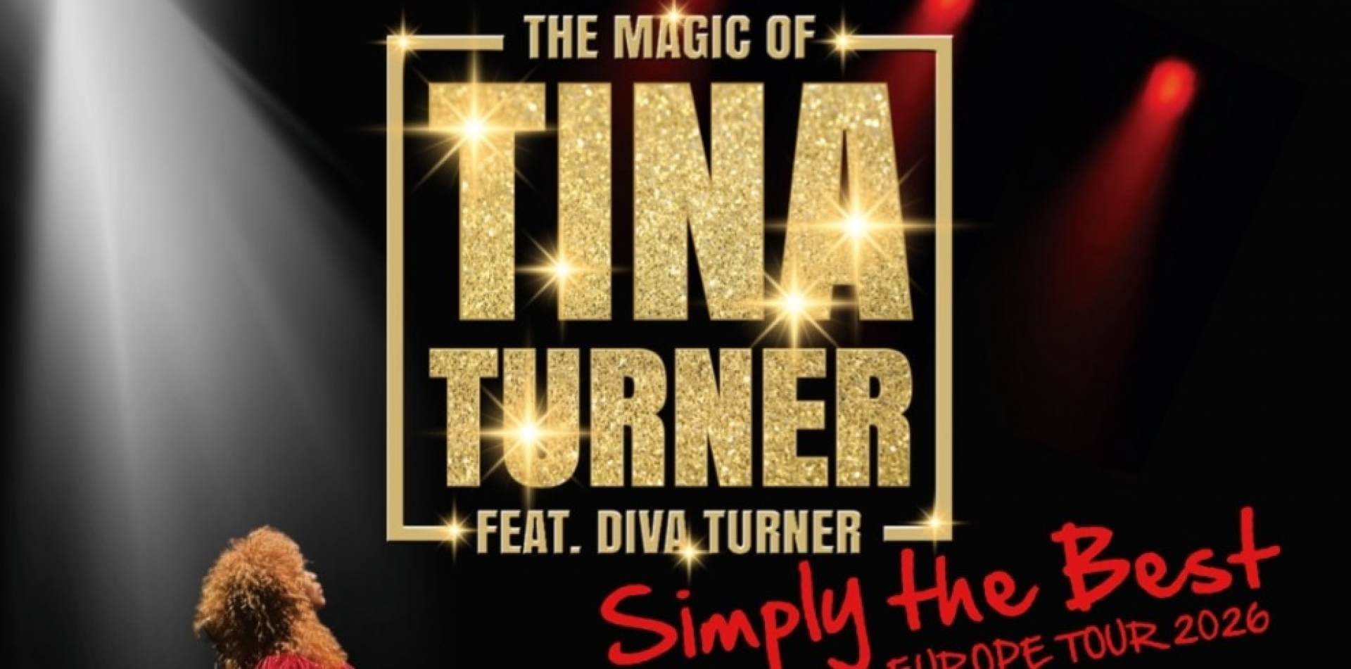 Magia lui Tina Turner feat Diva Turner