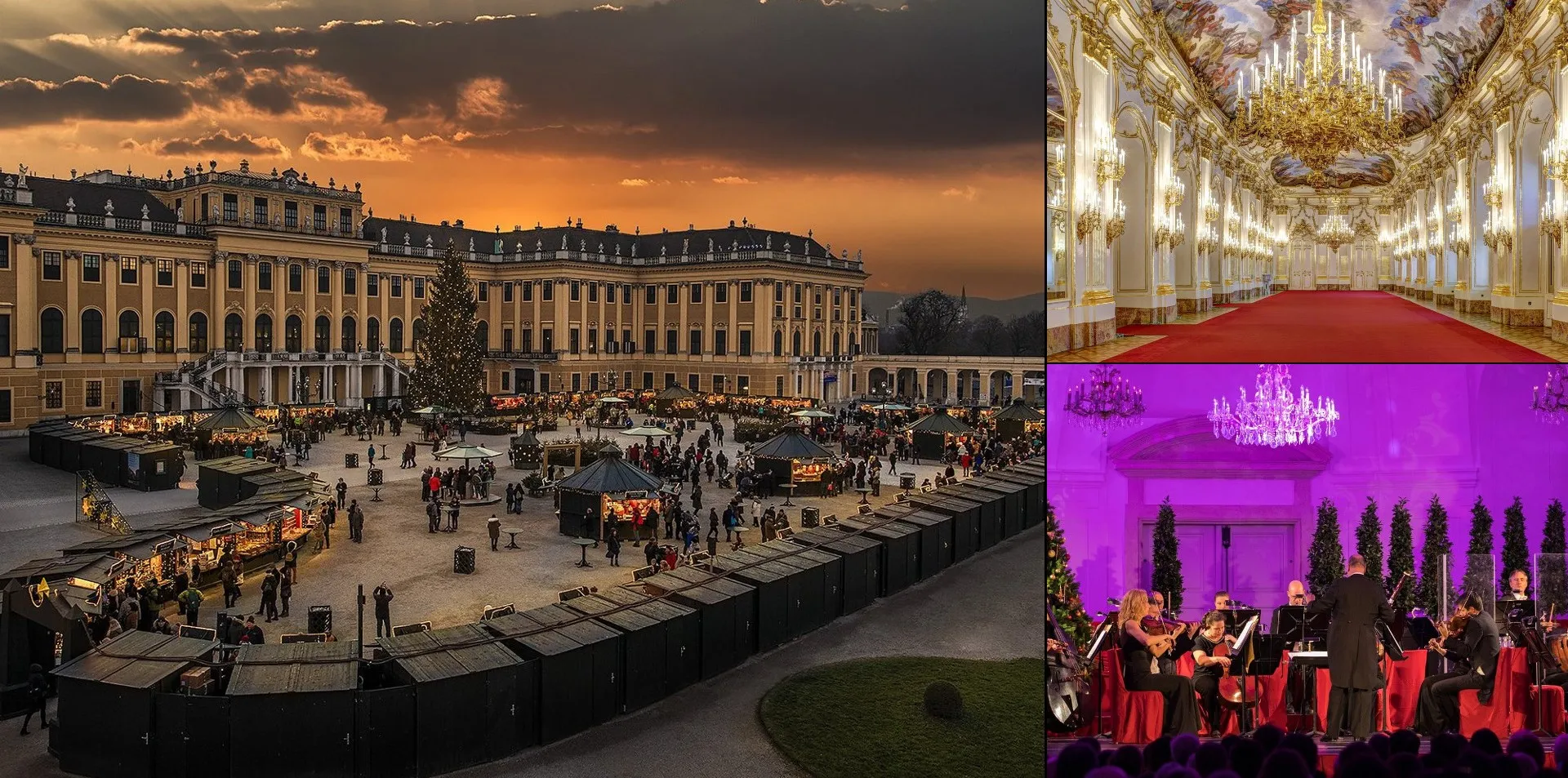 Târgul de Crăciun, Turul Palatului și Concertul de la Palatul Schönbrunn