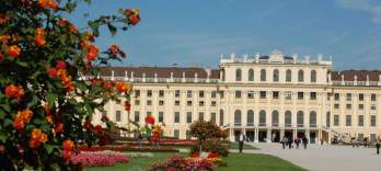 Tur, cină și concert la Palatul Schönbrunn