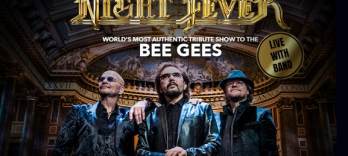 Night Fever, Un Tributo a los Bee Gees