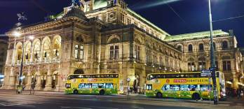 Tour Notturno a Vienna