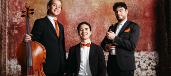Trio Concept