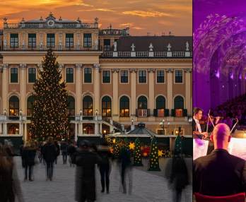Mercatino di Natale e Concerto - Palazzo di Schönbrunn