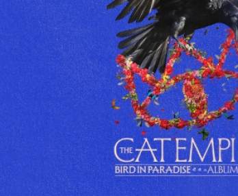 The Cat Empire, Album Tour