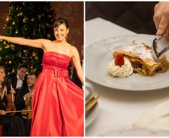 Cina și concert la Palatul Schönbrunn Viena