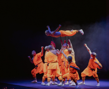 I Monaci del Kung Fu Shaolin