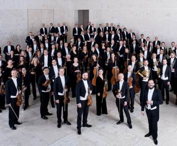 Orchestra Sinfonica di Vienna Musikverein Sala d´oro