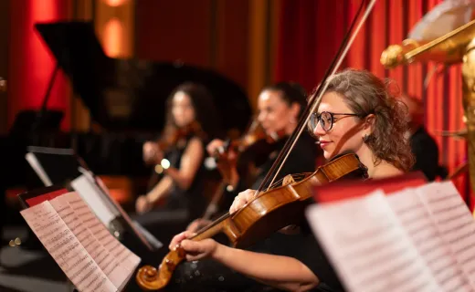 Classics of Austria, Le concert classique à Vienne