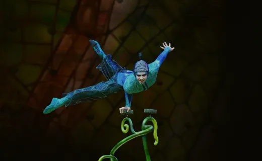 Cirque du Soleil OVO