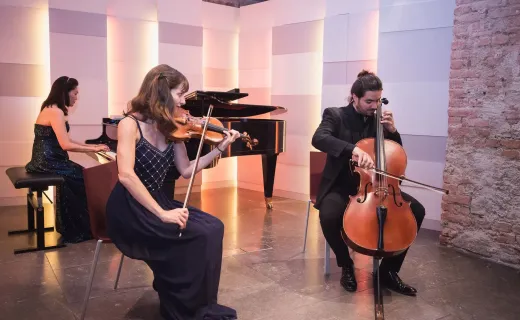 Ansamblul Viena, Concert Clasic la Mozarthaus cu Intrare în Muzeu