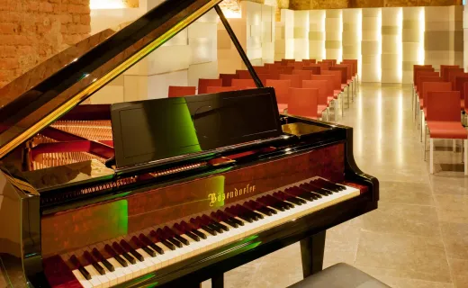 Ansamblul Viena, Concert Clasic la Mozarthaus cu Intrare în Muzeu