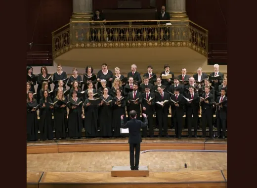 Wiener KammerOrchester