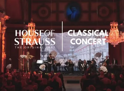 House of Strauss, Konzert-Show