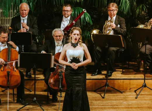 Wiener Hofburg Orchester, Strauss und Mozart Konzert