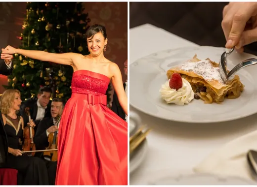 Schönbrunn Palace Vienna Dinner and Concert