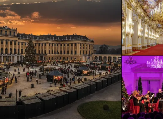 Christmas Market, Palace Tour and Concert Schönbrunn Palace