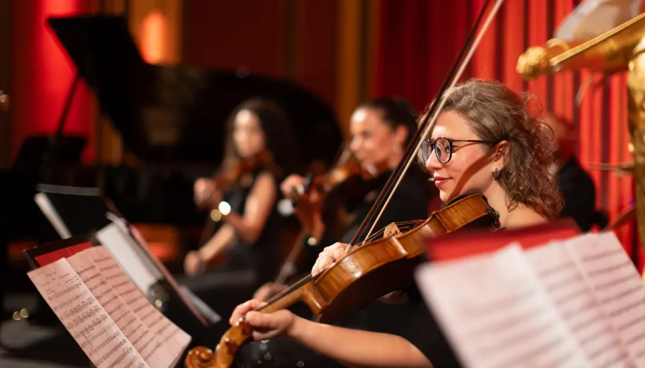Classics of Austria, El concierto clásico en Viena