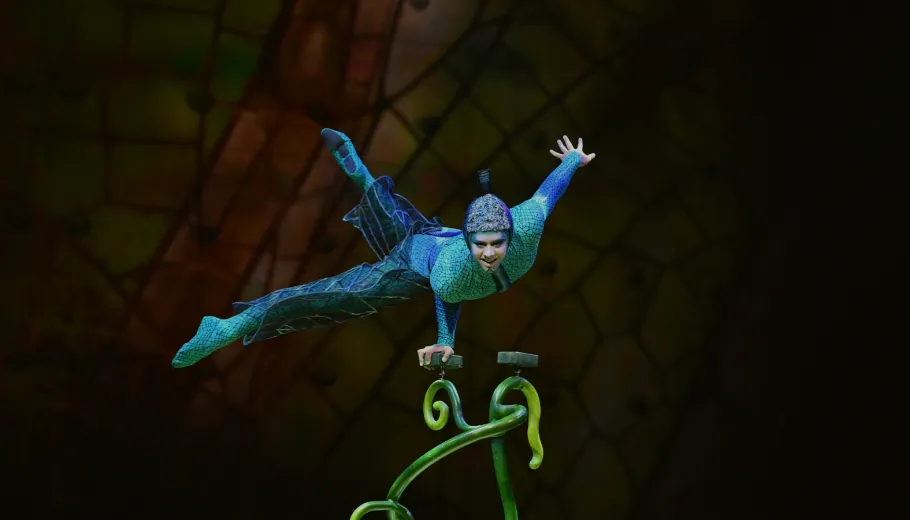 Cirque du Soleil OVO